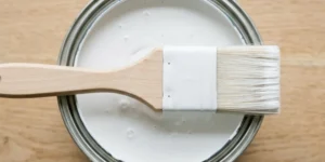 Scopri di più sull'articolo Pittura economica o pittura costosa: cosa cambia davvero?